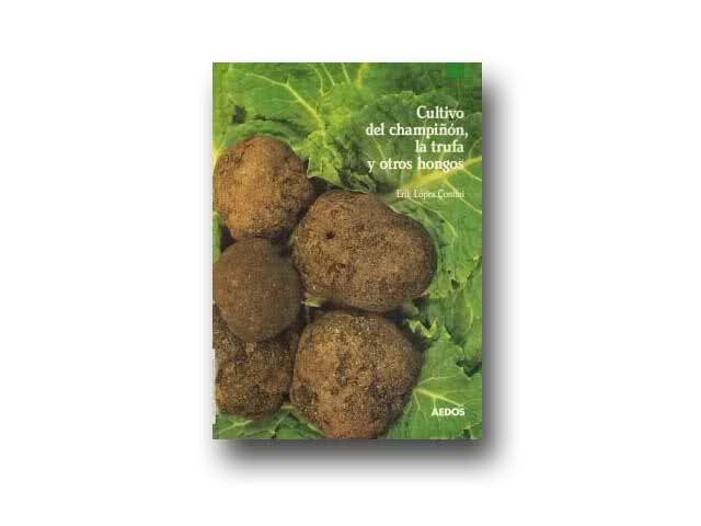 cultivo de champiñon